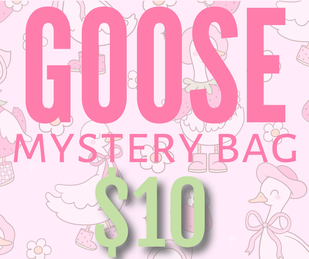 Goose Mystery Bag 🪿✨