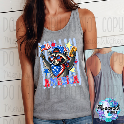 America Raccoon