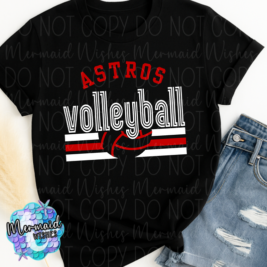 Astros Volleyball (DTF)