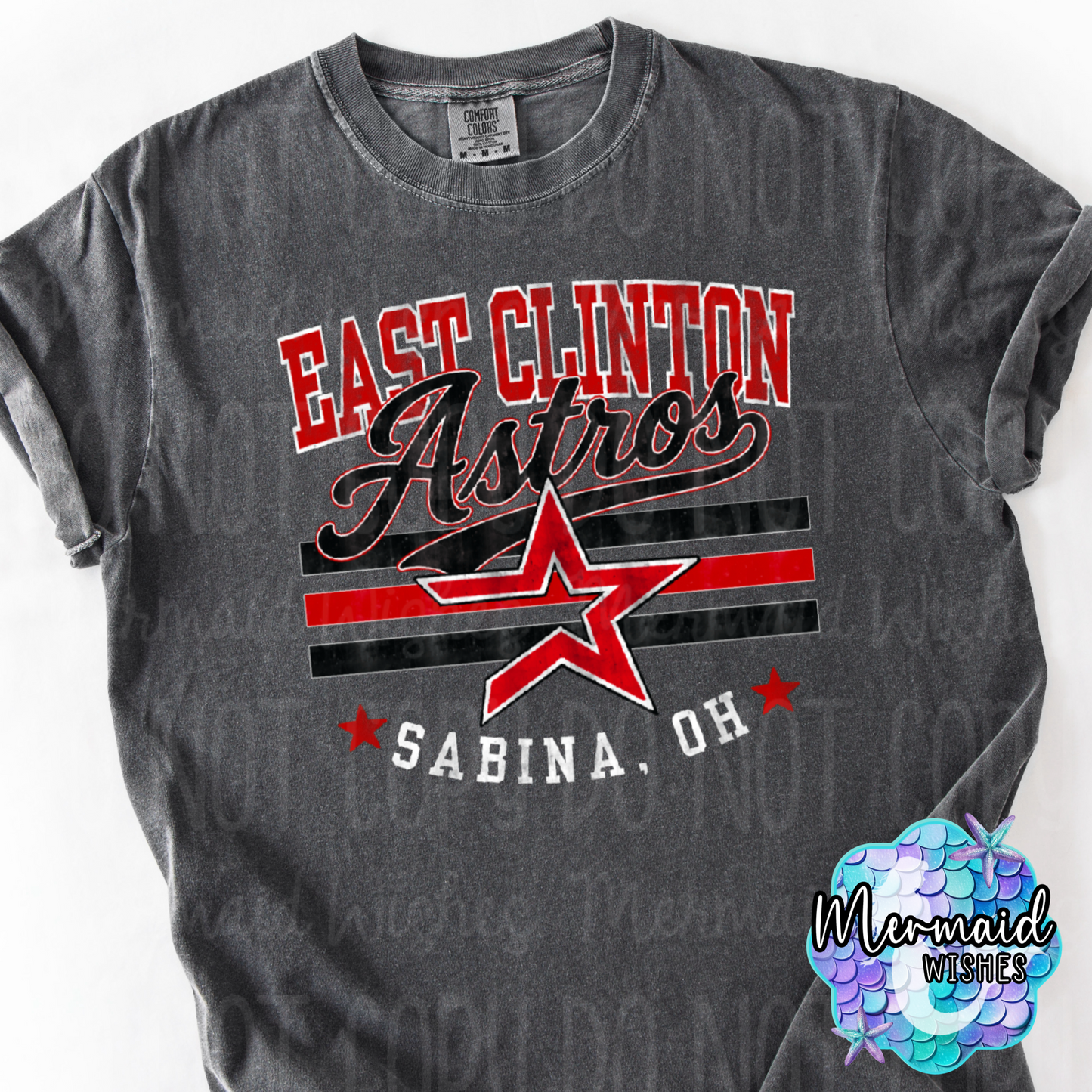 East Clinton Astros Mascot Distressed