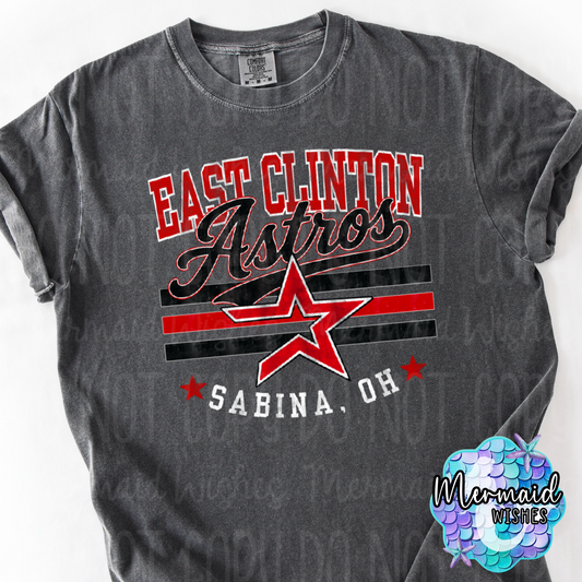 East Clinton Astros Mascot Distressed